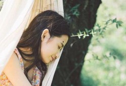 娱乐圈吃瓜爱好者小说,瓜田里的秘密花园