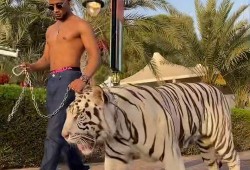 黑哥爆料最新动态视频,揭秘视频背后的惊人真相！